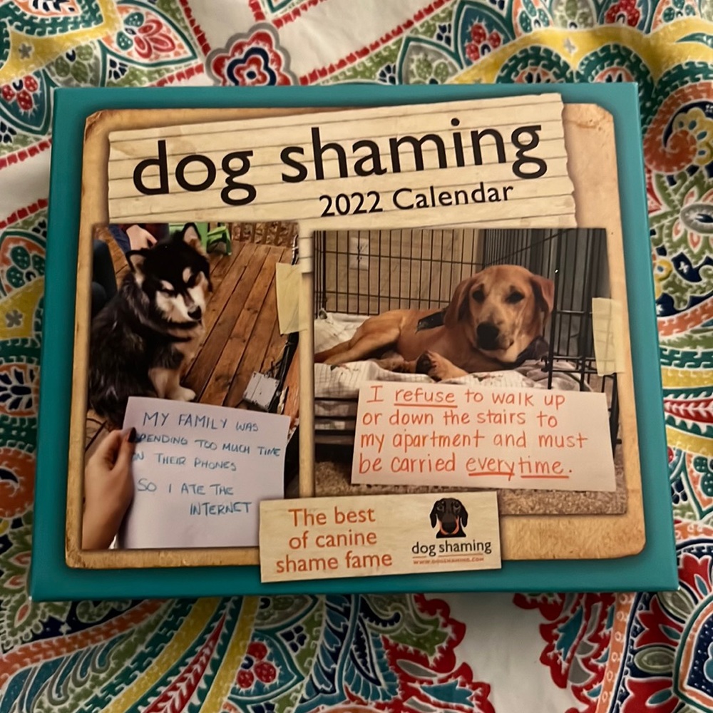 New in Box 2022 Dog Shaming Calendar